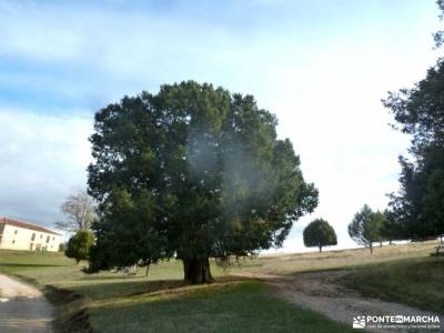 Enebral y Ermita de Hornuez – Villa de Maderuelo;senderista rutas en bici madrid rutas a pie granj